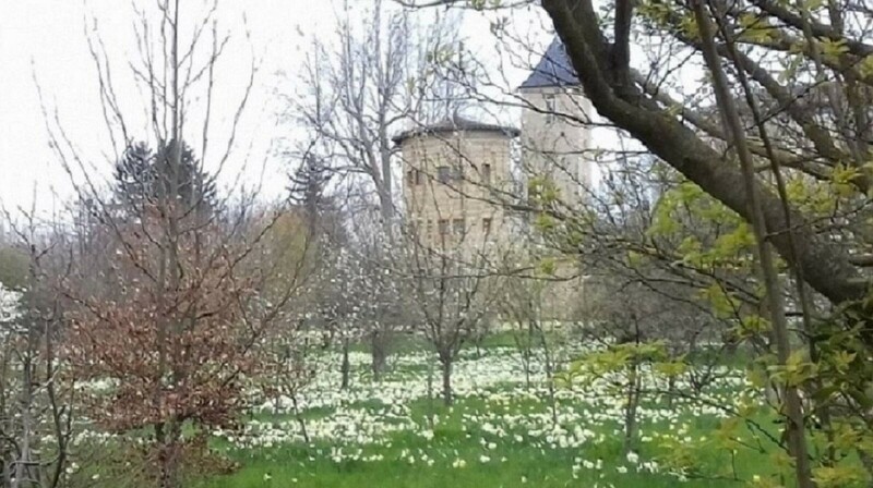 chambres-hotes-saint-bernard-florilege-chateau